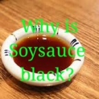 Why  Soy sauce are Black while soy milk is white?